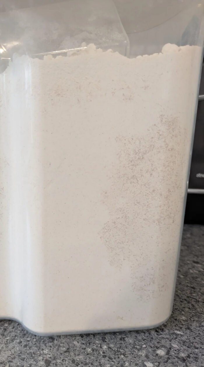 Close-up of flour in a container showing signs of spoilage and discoloration.