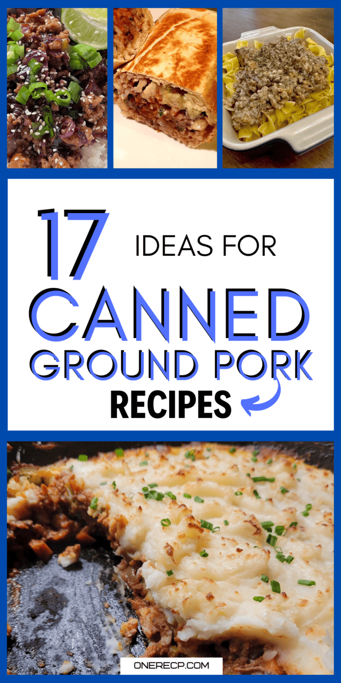 canned ground pork recipes pinterest poster