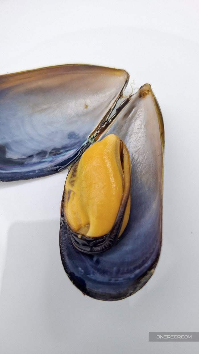 Close-up of a cooked mussel with plump orange meat