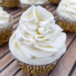 a butter free cupcake with butterless vanilla frosting
