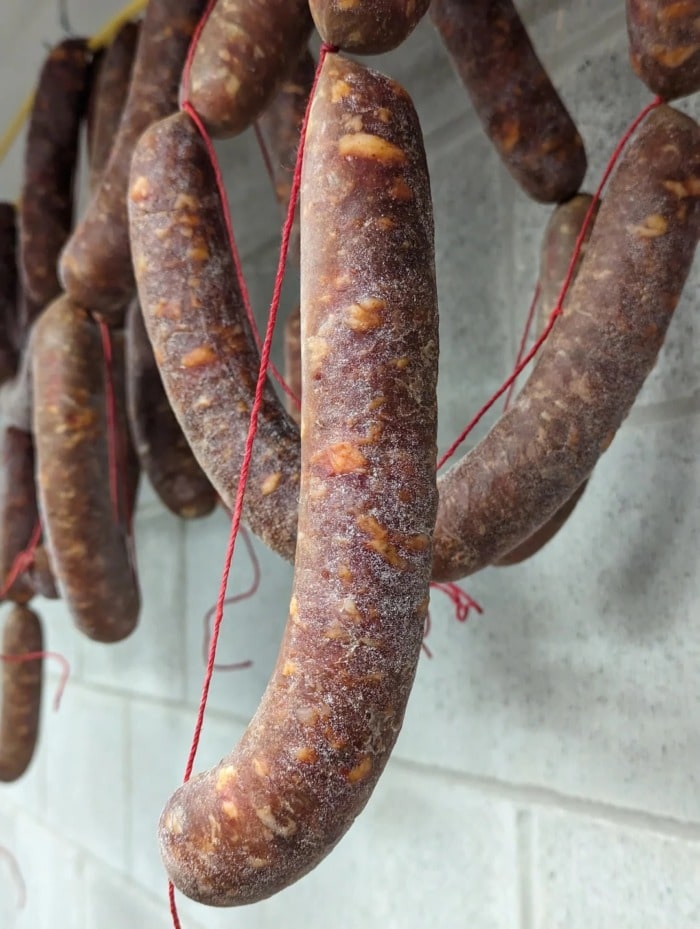 Multiple sausages being cured by drying