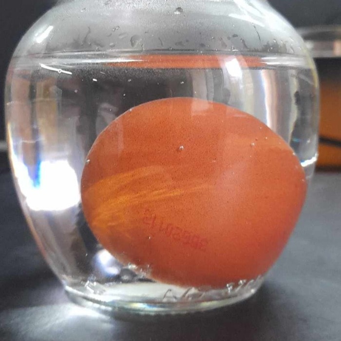 an egg that has sunk to the bottom of a jar with water