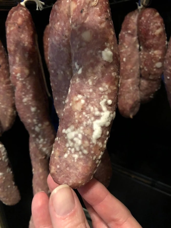A sausage covered in patches of fluffy mold