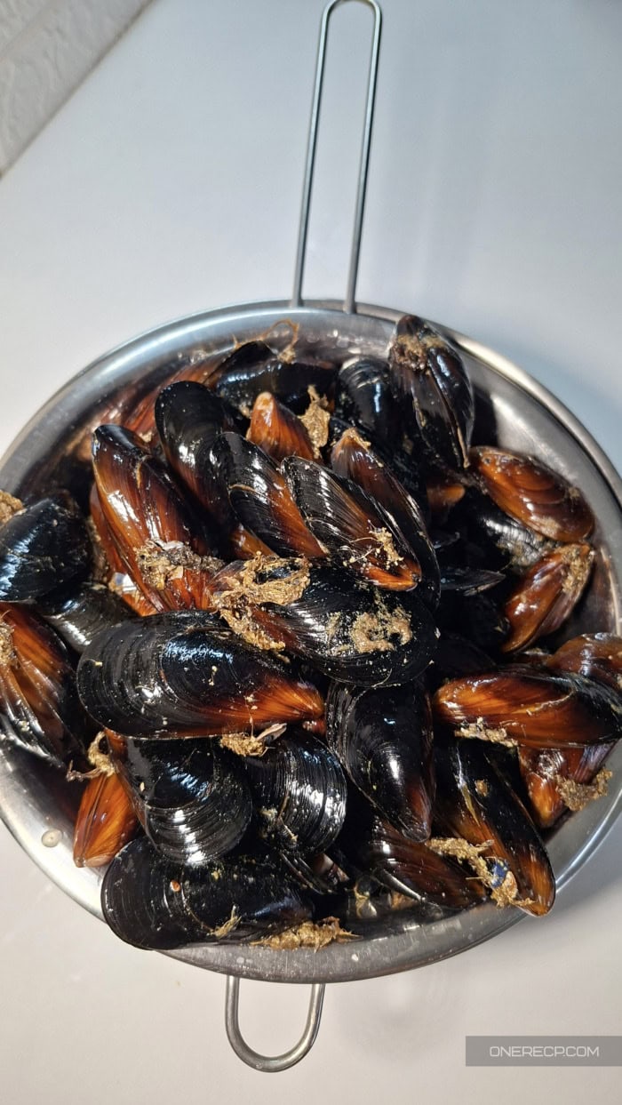 Fresh mussels in a colander before refrigerator storage