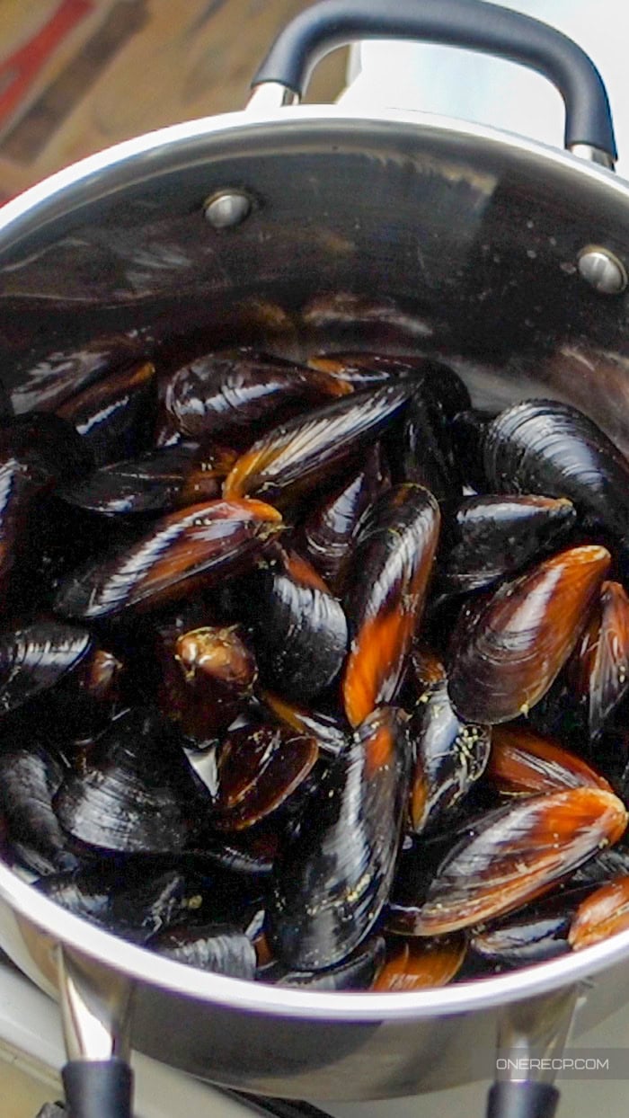 Fresh mussels in a pot with space left above the shells