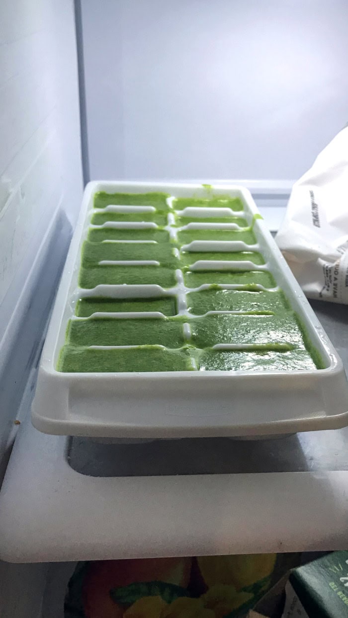 Green smoothie mixture frozen in an ice cube tray inside a freezer for easy make-ahead smoothie prep and storage.