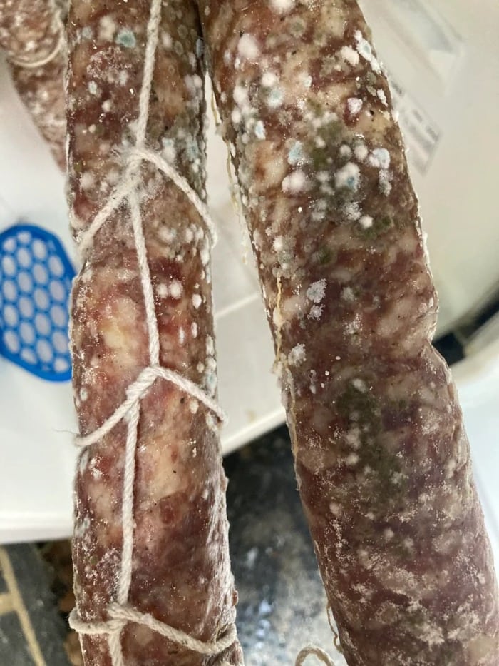 close up of green mold growing on cured salami