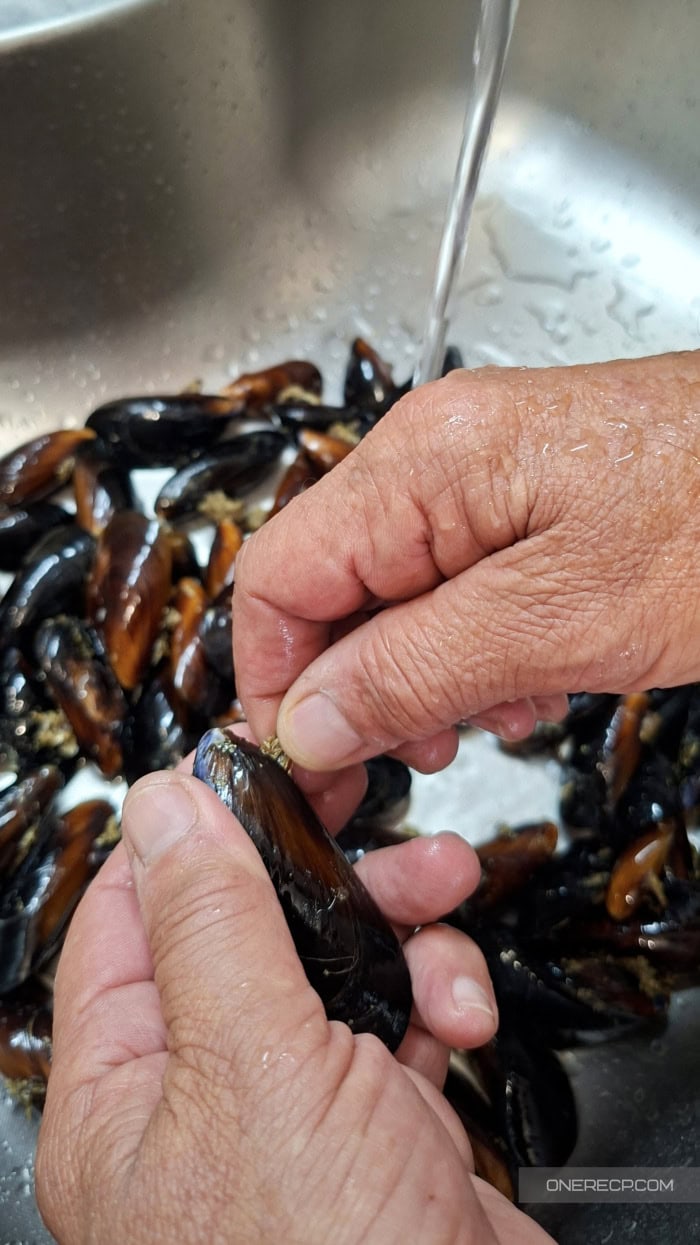 Gripping a mussel beard close to the shell before pulling it off