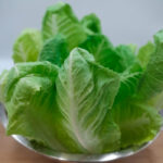 How to Keep Your Lettuce Crisp in the Fridge for Days Longer Without Overthinking It