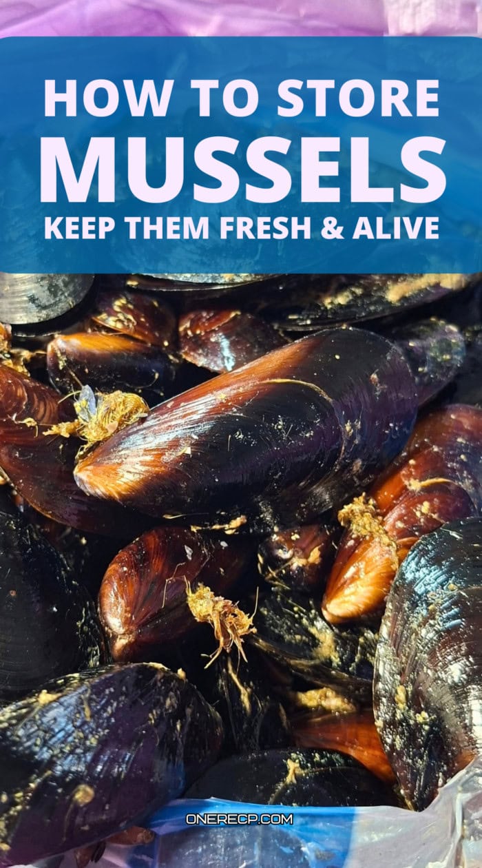 How to Store Mussels Pinterest poster