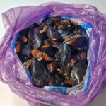 How to Store Mussels: From Fresh and Alive to Frozen