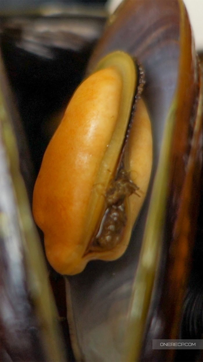 Small piece of beard remaining on a cooked mussel