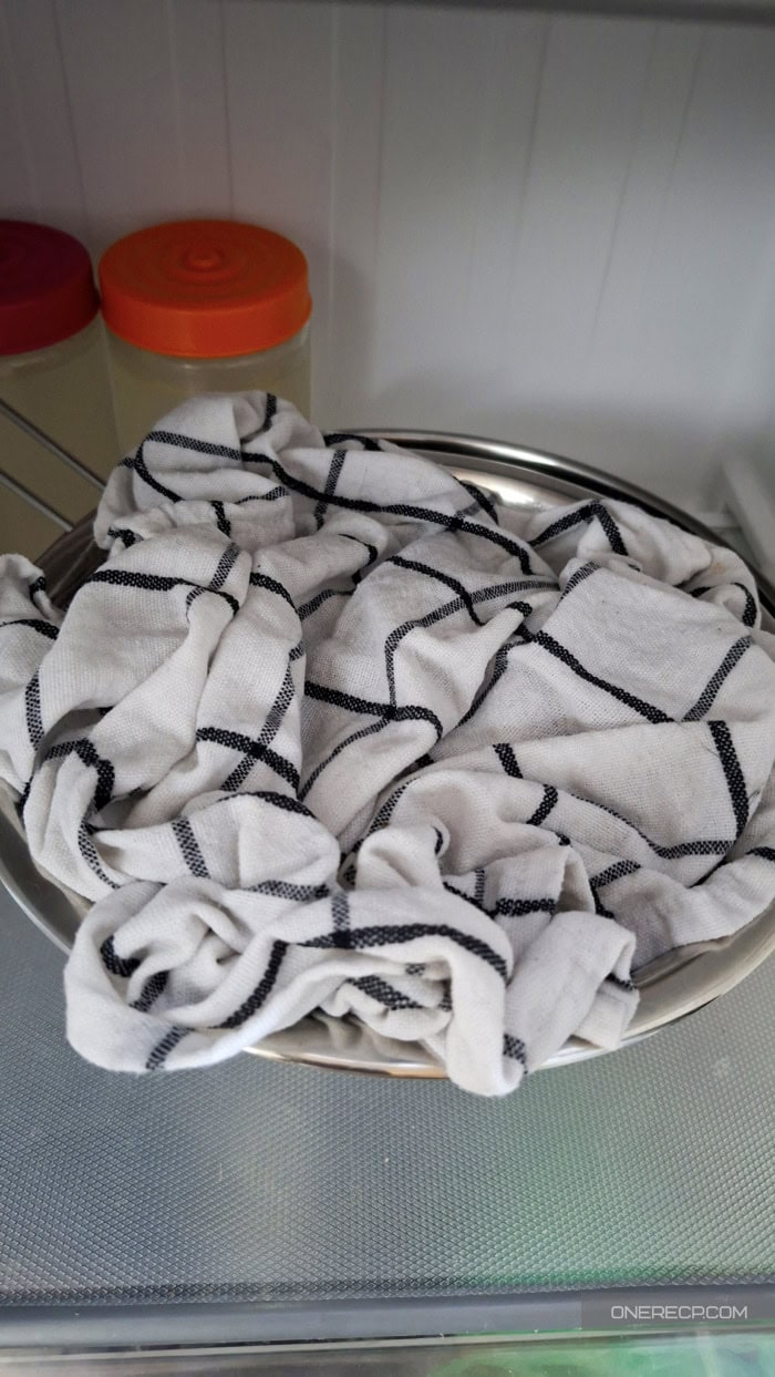 Fresh mussels covered with a damp towel on the bottom refrigerator shelf