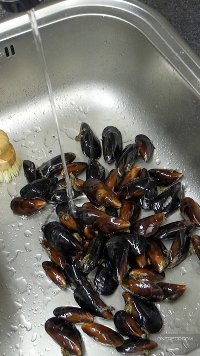 Fresh mussels in the sink under cold running water before cleaning