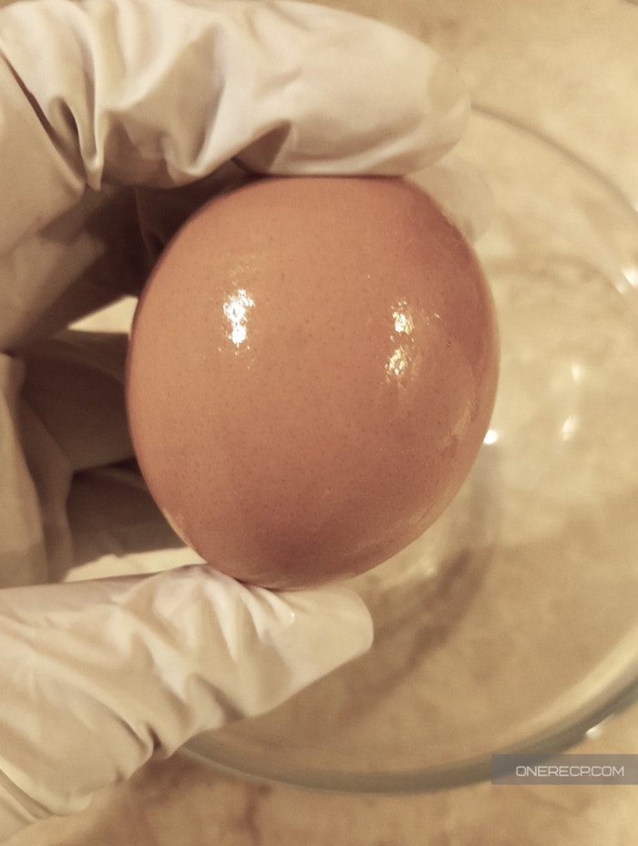 A hand with a glove holding a fresh egg coated with mineral oil for better preservation