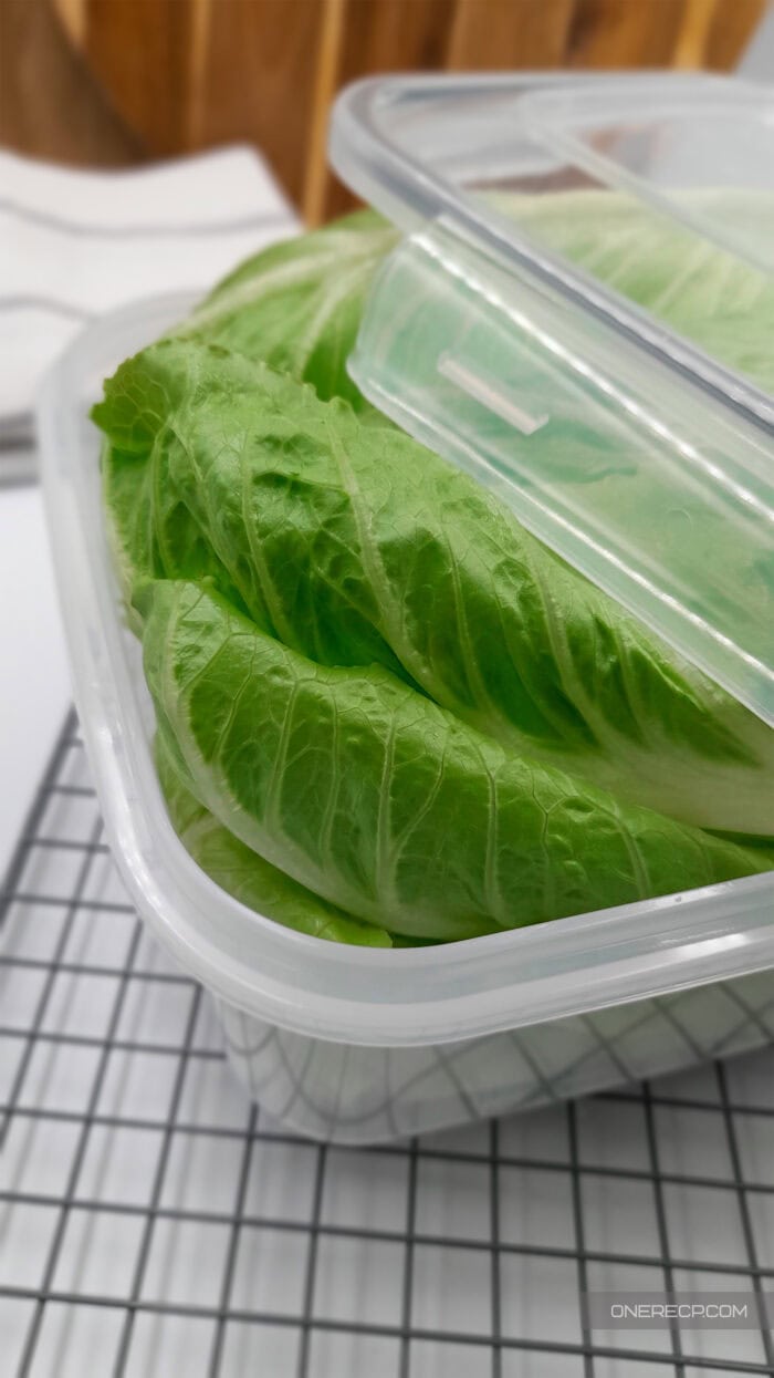 Fresh romaine lettuce leaves stored neatly in a sealed container, showing how properly stored lettuce stays crisp in the fridge for several days.