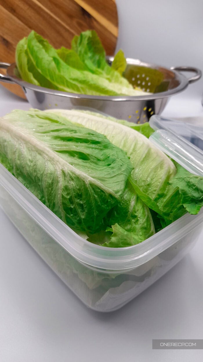 Romaine lettuce leaves layered inside a clear storage container, demonstrating how loose leaves are stored with paper towels to stay crisp in the fridge.
