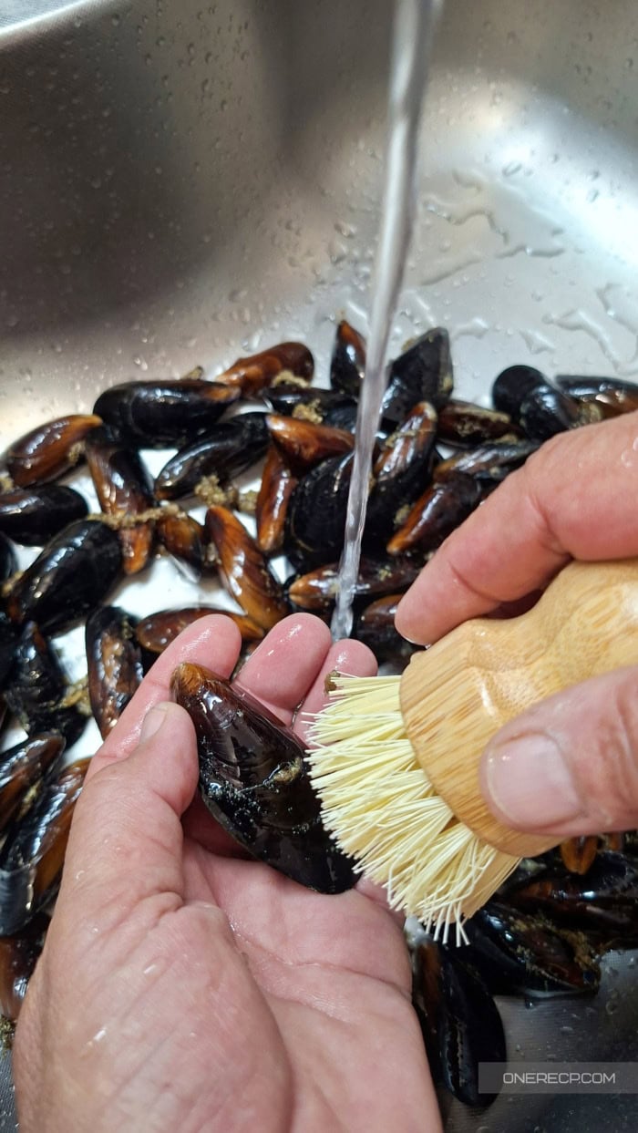Scrubbing a dirty mussel shell with a stiff-bristled brush under running water