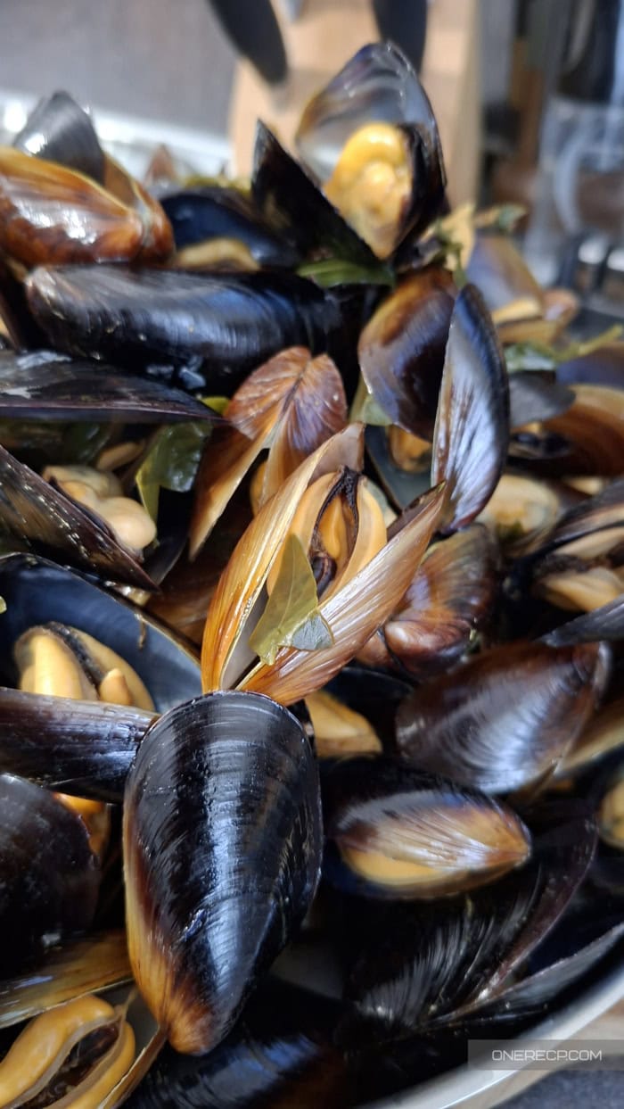 Closed mussel among opened mussels after cooking
